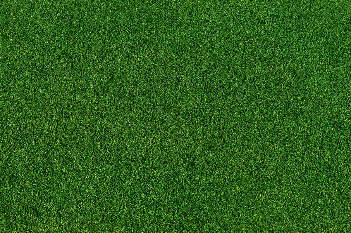 golf image