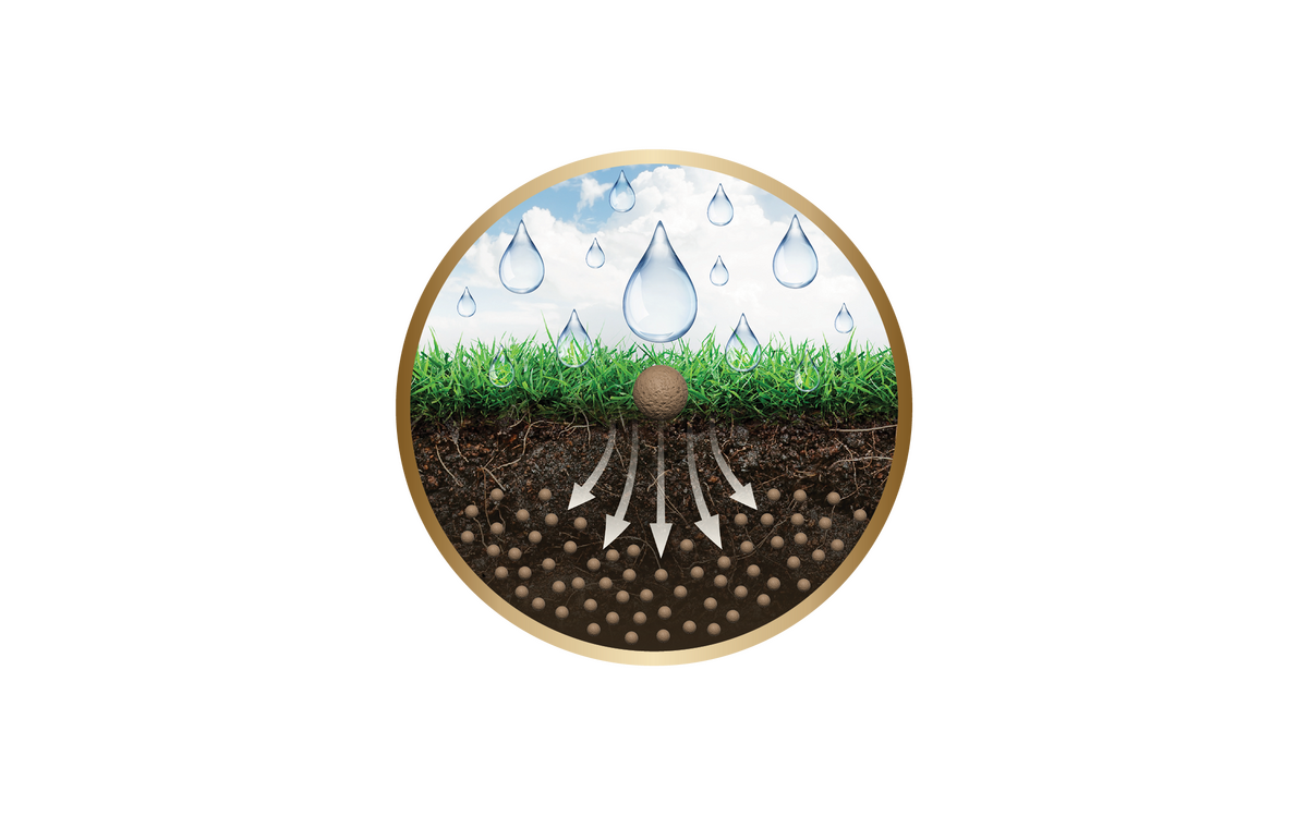 golf image